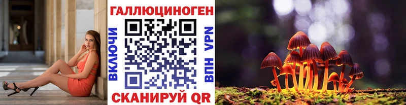 Галлюциногенные грибы Cubensis  ОМГ ОМГ зеркало  Жердевка 