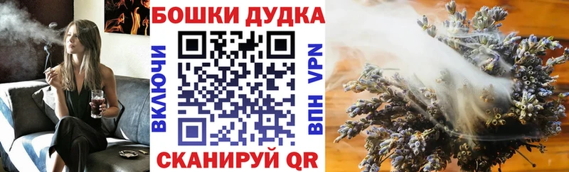 кракен ТОР  Жердевка  Канабис Ganja  что такое  